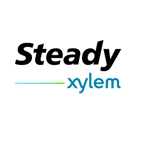 Xylem представляет бренд Steady Xylem представляет бренд Steady